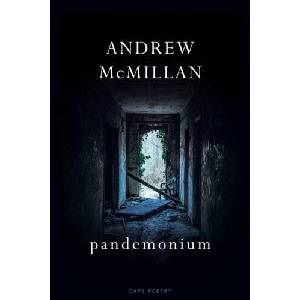 pandemonium (ISBN: 9781787333192)