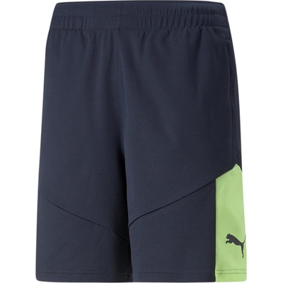 Puma individualFINAL Training Shorts – Zboží Mobilmania