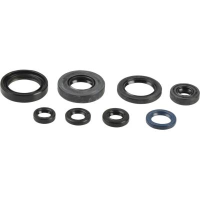 Sada gufer motoru ATHENA P400485400045