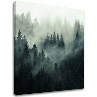 Obraz na stenu HORY_050-12 - 40x40 cm