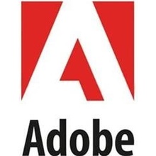 Adobe Acrobat Professional 2020 CZ, el.licence - 65324404AD01A00