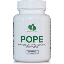 For long life POWER OF PROTEOLYTIC ENZYMES 12 enzymů + lumbrokináza nattokináza ATP 90 kapslí 60 dní