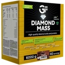 GF nutrition Diamond MASS 6000 g