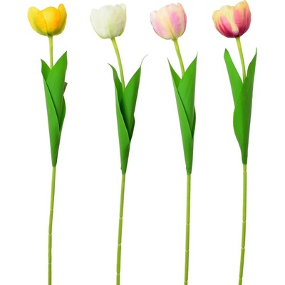 KS TULIPÁN 4F 56cm