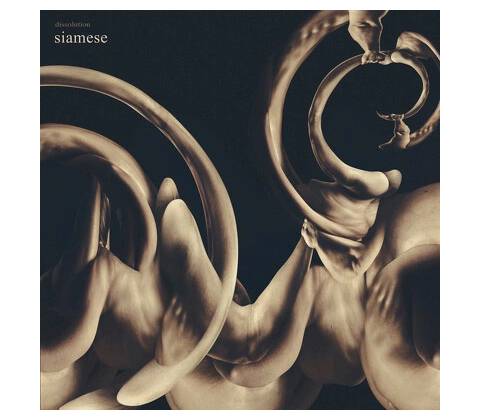 SIAMESE - DISSOLUTION CD