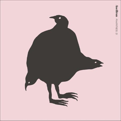 Ane Brun - Rarities 2 (LP) (7320470265505)