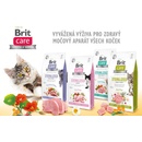 Brit Care Cat Grain-Free Sterilized Immunity Support 2 kg