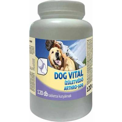 Dog Vital Arthro-500 ochrana kĺbov 120 ks