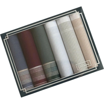 Ëtex Pánské látkové kapesníky VASSINI - 6 kusů M37-1