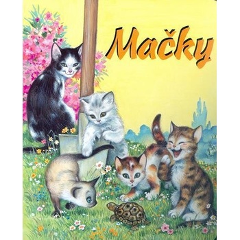 Mačky
