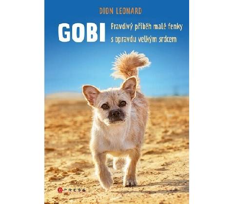 Gobi - Dion Leonard