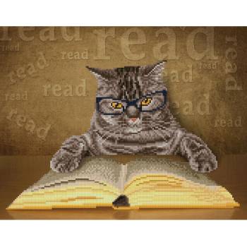 Image 1 of Diamond Dotz Мога да чета - диамантен гоблен sd6.402