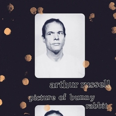 Picture of Bunny Rabbit - Arthur Russell LP