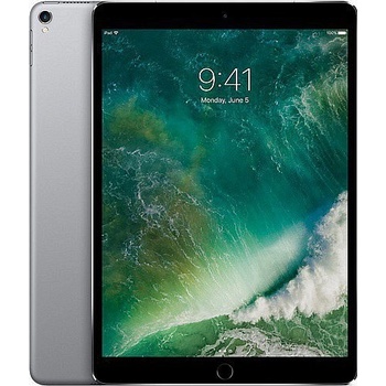 Apple iPad Pro Wi-Fi 256GB Space Gray MPDY2HC/A