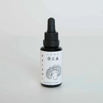 KÄÄPÄ Mushrooms Reishi BIO tinktura 30 ml