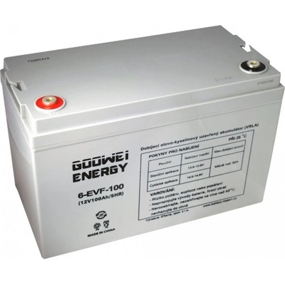 GOOWEI ENERGY 12V 100Ah 6-EVF-100
