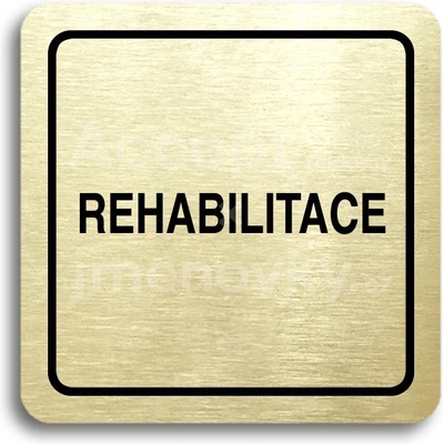 ACCEPT Piktogram rehabilitace - zlatá tabulka - černý tisk