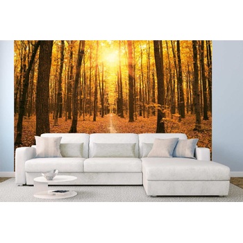 DIMEX ART s. r. o Самозалепваща се флизелинова фототапета златна гора 375 x 250 см