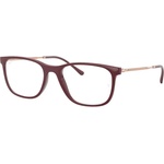Ray-Ban RX7244 8099 / RB7244 8099