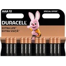 Duracell Basic 12ks AAA 42325