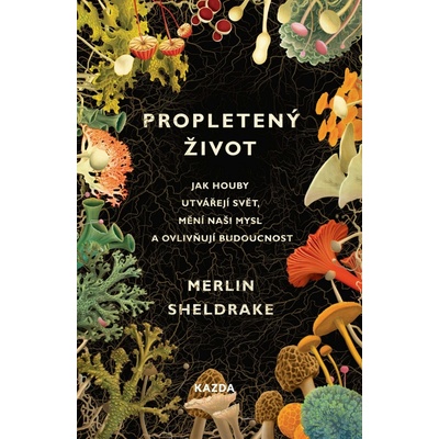 Propletený život Provedení: E-kniha