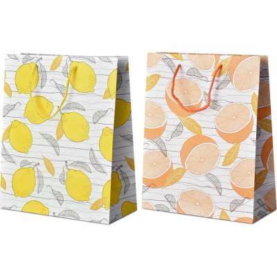Taška dárková 260x320 mm plody citrusu mix, mix barev