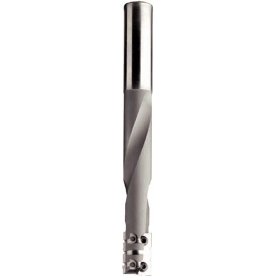 IGM Dlabací fréza na dveře žiletková D16x23 L150mm S=16 Z2 HW