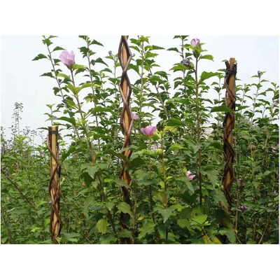 Tyč Garden Willow 160 cm, prútená, oporná k rastlinám