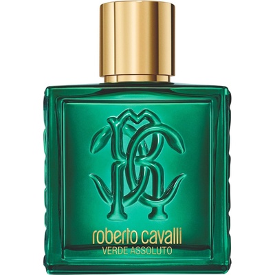 Roberto Cavalli Uomo Verde Assoluto parfumovaná voda pánska 100 ml