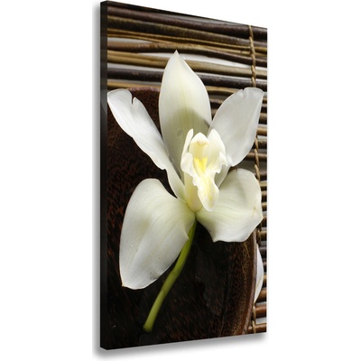 Vertikálny foto obraz na plátne do obývačky Orchidea 50x100 cm