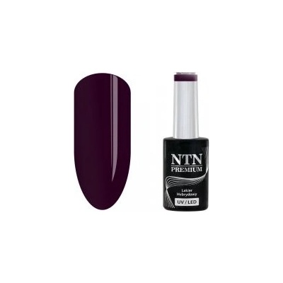 NTN Premium hybridní lak Splash Collection 118 5 g