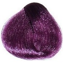 Vitality's Collection Crema Color ante fialová violet 6-88 100 ml