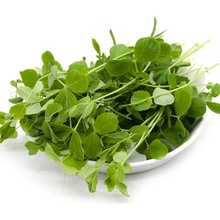 Tiny Greens Hrášek Lofty - BIO semínka na klíčení a microgreens Množství: 200g