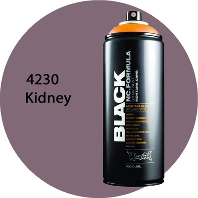 MONTANA BLACK 4230 kidney 400ml