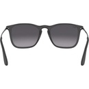 Image 1 of Ray-Ban RB4187 622/8G
