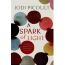 A Spark of Light