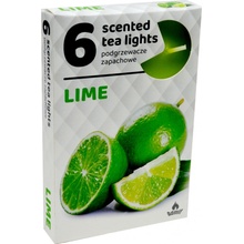 Admit Tea Lights Lime 6 ks