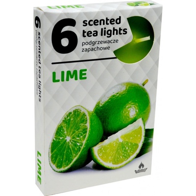 Admit Tea Lights Lime 6 ks