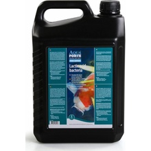 AquaForte Lactid 5 l