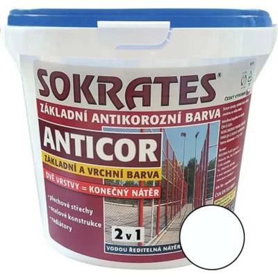 Sokrates Anticor základní 2kg 0100 bílá