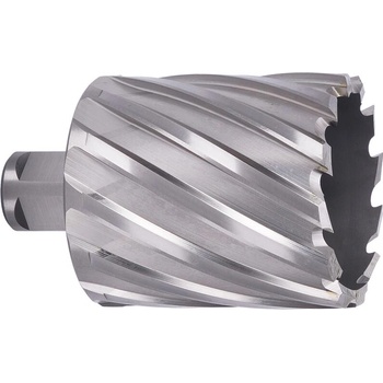 ABSE N-HS-W19-0530050
