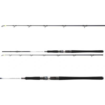 Daiwa Grandwave Halibut 2,25 m 30-40 g 2 Diely