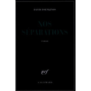 Nos séparations | Foenkinos (ISBN: 9782070122257)