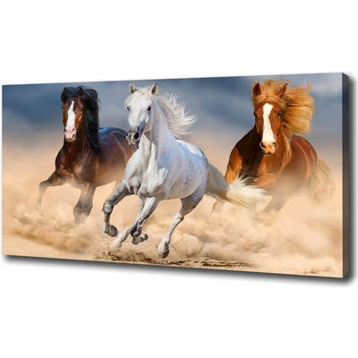 Foto obraz na plátne Kone na púšti 100x50 cm