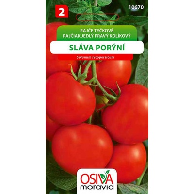 Rajče tyčkové Sláva Porýní 0,2 g