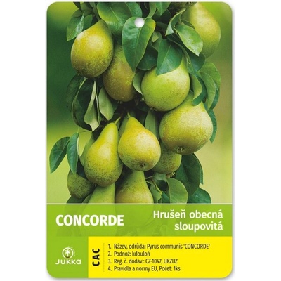 Hrusen Concorde (hrušně Concorde, Hrušeň Concorde, Concorde Hrušeň) Hrusen Concorde