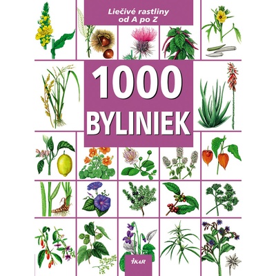 1000 Byliniek - Kolektív autorov