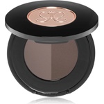 Anastasia Beverly Hills Brow Powder Duo пудра за вежди цвят Ash Brown 2x0.8 гр