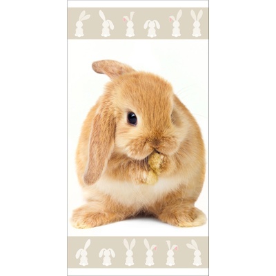 Jerry Fabrics detský uterák BUNNY vzorovaná 70 x 140 cm