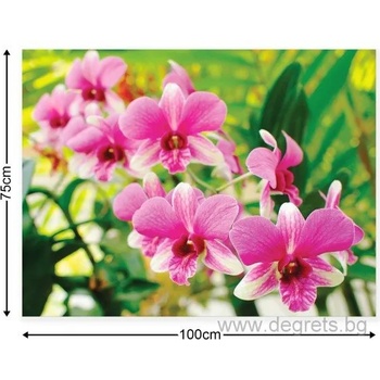 Картина Канава Орхидея 3